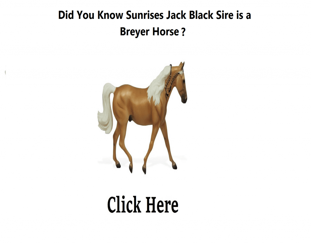 jack black sire